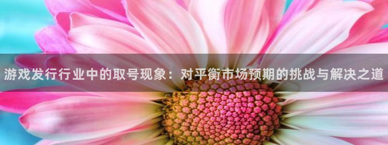 杏耀好还是红狮好：游戏发行行业中的取号现象：对平衡市场预期的挑战与解决之道