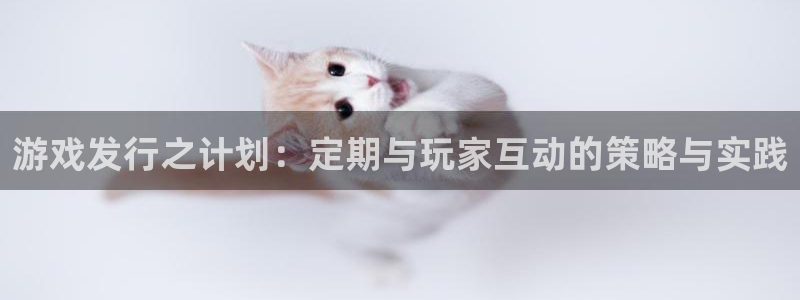 杏耀电商怎么样知乎