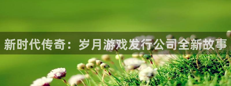 广州杏耀电子商务：新时代传奇：岁月游戏发行公司全新故事