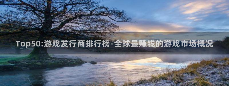 杏耀子文化游戏：Top50:游戏发行商排行榜-全球最赚钱的游戏市场概况