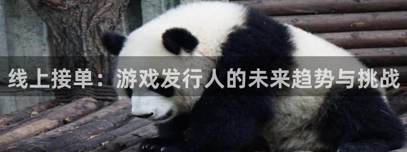 杏耀子文化是干什么的：线上接单：游戏发行人的未来趋势与挑战