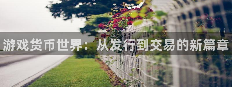 杏耀子文化有什么游戏：游戏货币世界：从发行到交易的新篇章