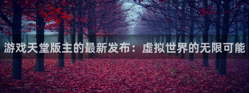 杏耀技术有限公司官网：游戏天堂版主的最新发布：虚拟世界的无限可能