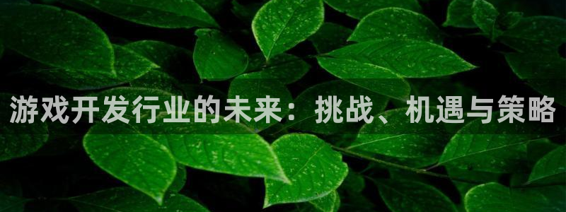 杏耀多少钱：游戏开发行业的未来：挑战、机遇与策略