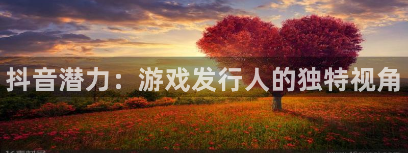 杏耀官网登录注册账号失败：抖音潜力：游戏发行人的独特视角