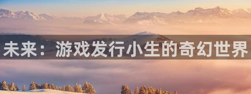 长沙杏耀子电子商务有限公司：未来：游戏发行小生的奇幻世界