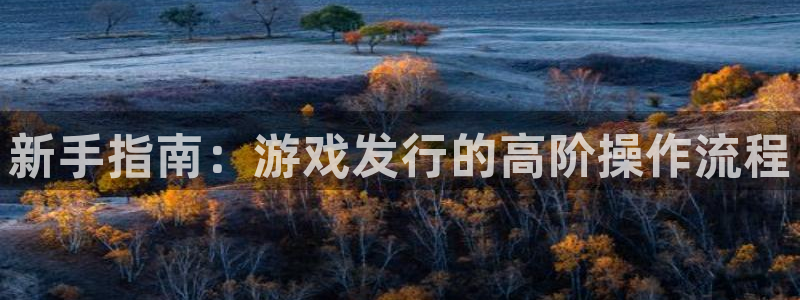 杏耀官网注册方法视频：新手指南：游戏发行的高阶操作流程