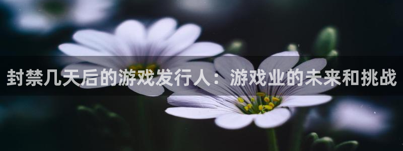 广东杏耀电商bruno
