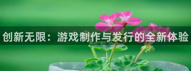 杏耀官网代理开号