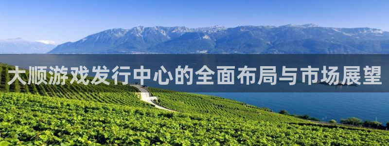 杏耀子图片高清图片：大顺游戏发行中心的全面布局与市场展望