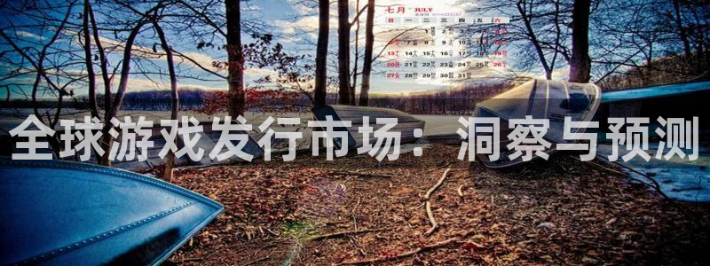 杏耀官网游戏平台高奖金玩法：全球游戏发行市场：洞察与预测