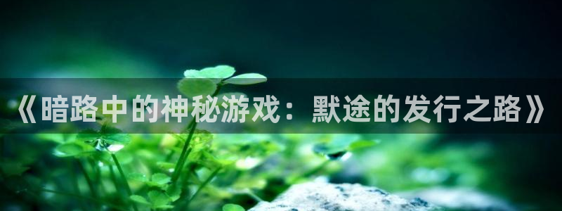杏耀科技股票：《暗路中的神秘游戏：默途的发行之路》