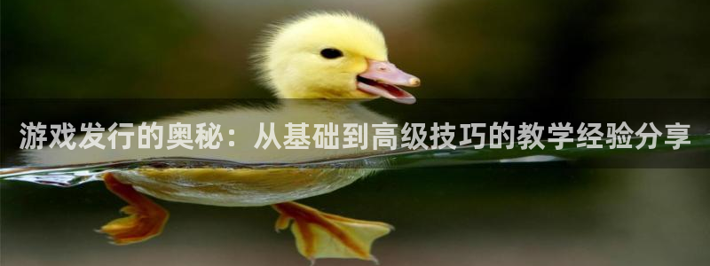 杏耀官网注册平台怎么样啊