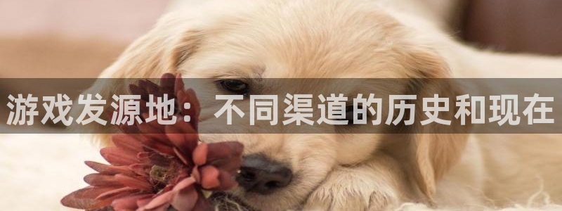 杏耀官网登录注册失败怎么办