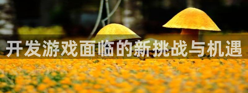 杏耀子寓意：开发游戏面临的新挑战与机遇