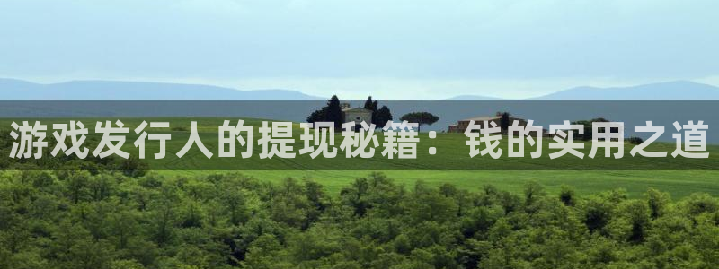 杏耀官网注册平台怎么注册不了：游戏发行人的提现秘籍：钱的实用之道