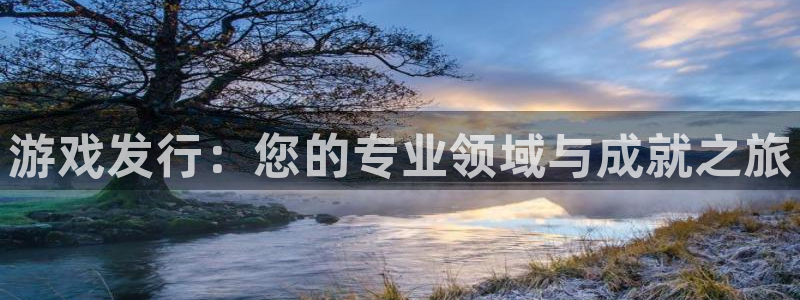 杏耀官网登录注册账号安全吗是真的吗：游戏发行：您的专业领域与成就之旅