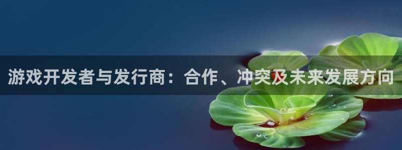 杏耀官网注册地址在哪里查询：游戏开发者与发行商：合作、冲突及未来发展方向